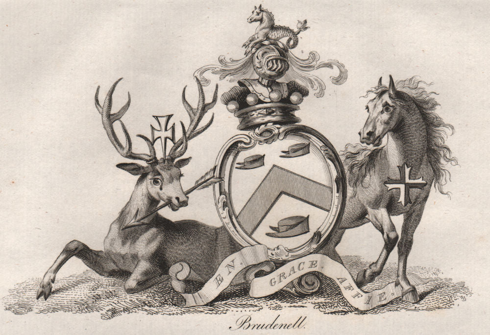 BRUDENELL. Coat of Arms. Heraldry 1790 old antique vintage print picture